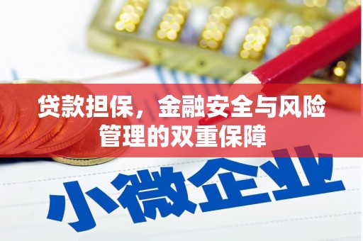 阜康贷款担保，金融安全与风险管理的双重保障