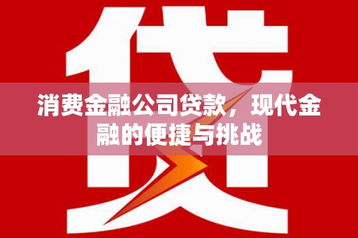阜康消费金融公司贷款，现代金融的便捷与挑战