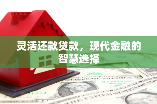 阜康灵活还款贷款，现代金融的智慧选择