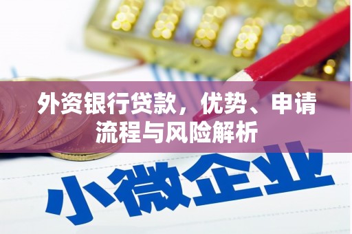 阜康外资银行贷款，优势、申请流程与风险解析