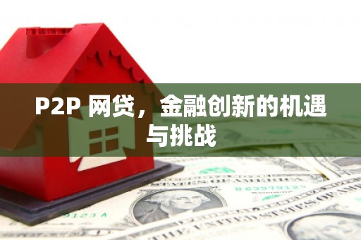 阜康P2P 网贷，金融创新的机遇与挑战