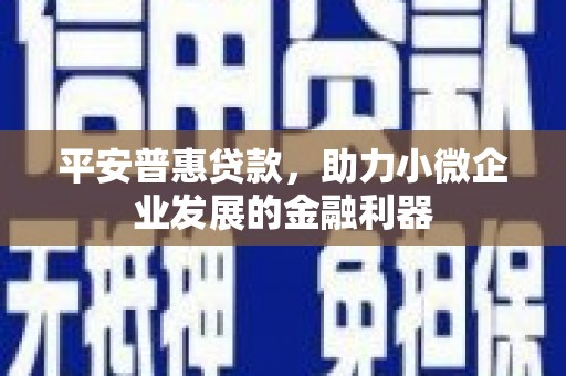 阜康平安普惠贷款，助力小微企业发展的金融利器