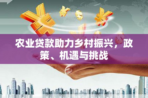 阜康农业贷款助力乡村振兴，政策、机遇与挑战