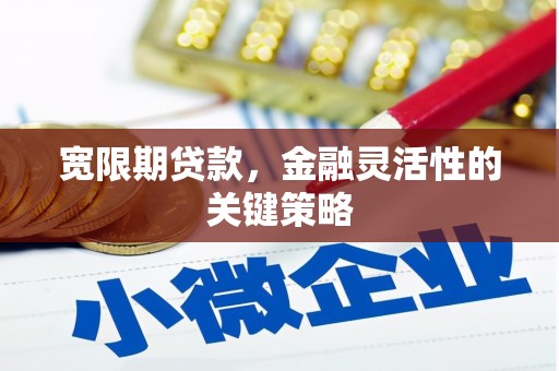 阜康宽限期贷款，金融灵活性的关键策略