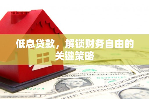 阜康低息贷款，解锁财务自由的关键策略