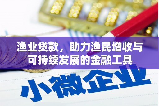 阜康渔业贷款，助力渔民增收与可持续发展的金融工具