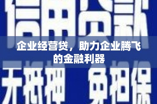 阜康企业经营贷，助力企业腾飞的金融利器