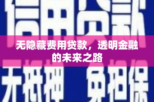 阜康无隐藏费用贷款，透明金融的未来之路