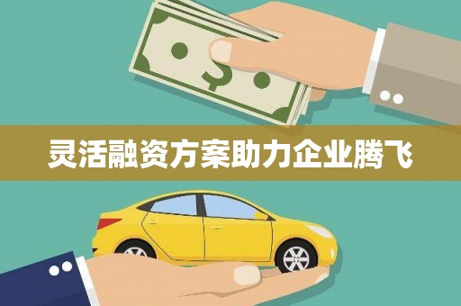 阜康灵活融资方案助力企业腾飞
