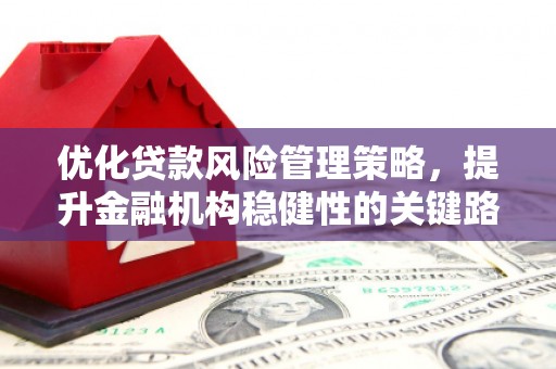 阜康优化贷款风险管理策略，提升金融机构稳健性的关键路径