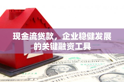 阜康现金流贷款，企业稳健发展的关键融资工具