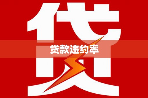 阜康贷款违约率