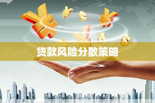 阜康贷款风险分散策略