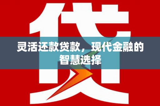 阜康灵活还款贷款，现代金融的智慧选择