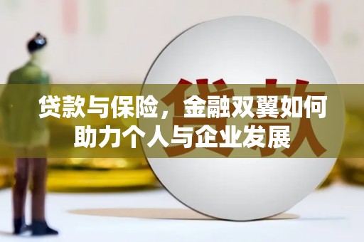 阜康贷款与保险，金融双翼如何助力个人与企业发展