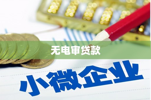 阜康无电审贷款