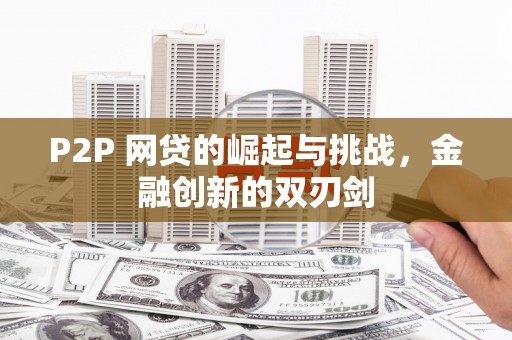 阜康P2P 网贷的崛起与挑战，金融创新的双刃剑