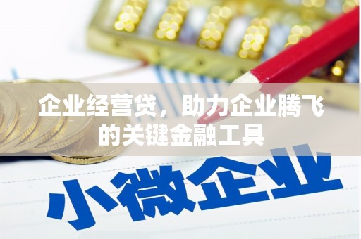 阜康企业经营贷，助力企业腾飞的关键金融工具