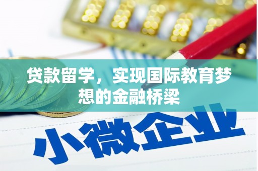 阜康贷款留学，实现国际教育梦想的金融桥梁