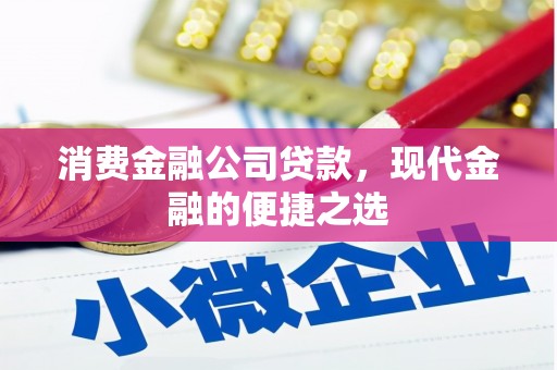 阜康消费金融公司贷款，现代金融的便捷之选