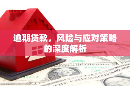 阜康逾期贷款，风险与应对策略的深度解析
