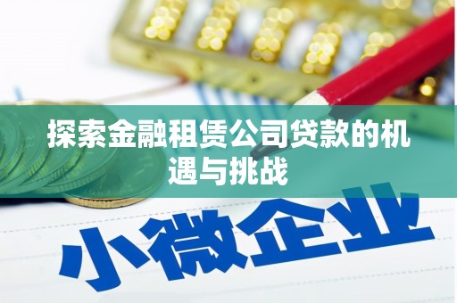 阜康探索金融租赁公司贷款的机遇与挑战