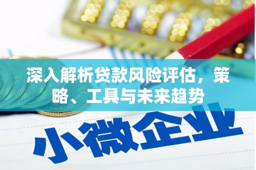 阜康深入解析贷款风险评估，策略、工具与未来趋势