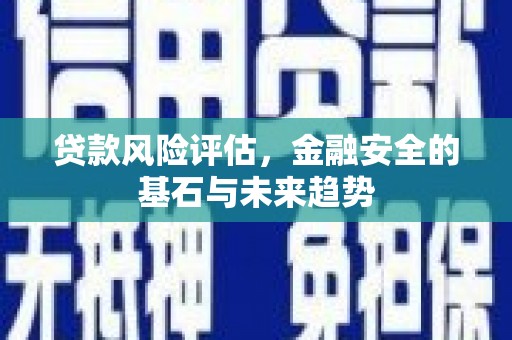 阜康贷款风险评估，金融安全的基石与未来趋势