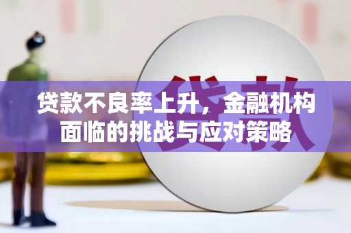 阜康贷款不良率上升，金融机构面临的挑战与应对策略
