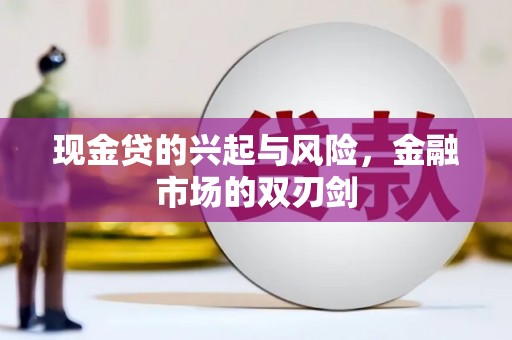 阜康现金贷的兴起与风险，金融市场的双刃剑
