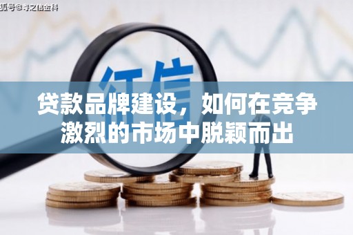 阜康贷款品牌建设，如何在竞争激烈的市场中脱颖而出