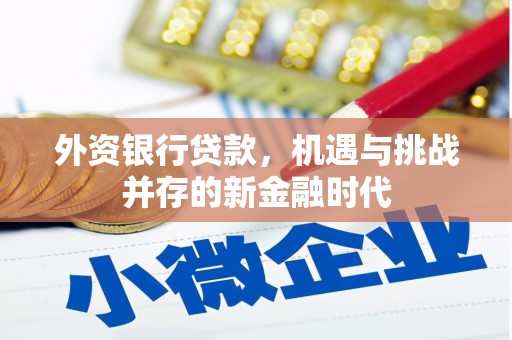 阜康外资银行贷款，机遇与挑战并存的新金融时代
