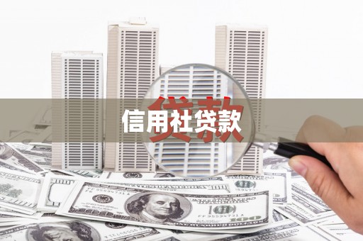 阜康信用社贷款