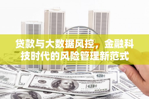 阜康贷款与大数据风控，金融科技时代的风险管理新范式
