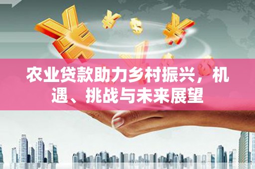 阜康农业贷款助力乡村振兴，机遇、挑战与未来展望