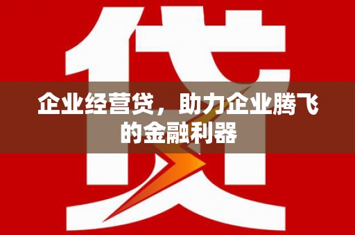 阜康企业经营贷，助力企业腾飞的金融利器
