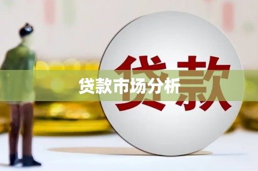 阜康贷款市场分析