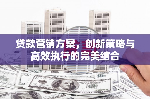 阜康贷款营销方案，创新策略与高效执行的完美结合