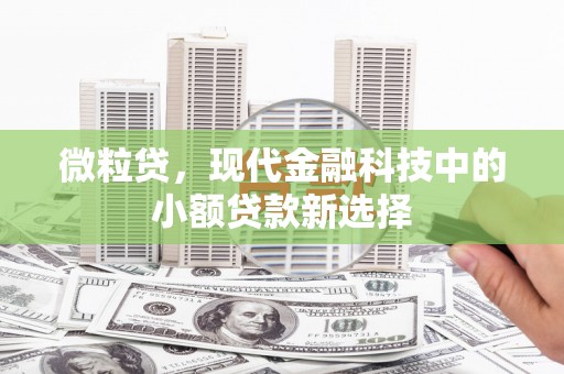 阜康微粒贷，现代金融科技中的小额贷款新选择