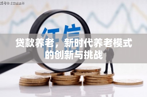 阜康贷款养老，新时代养老模式的创新与挑战