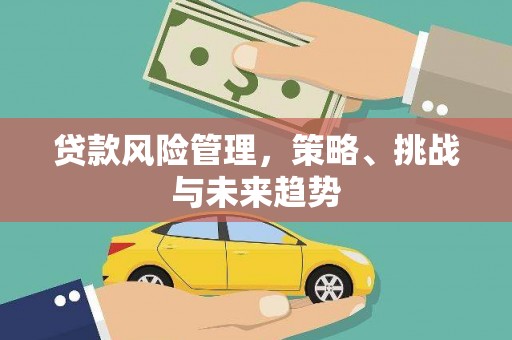 阜康贷款风险管理，策略、挑战与未来趋势
