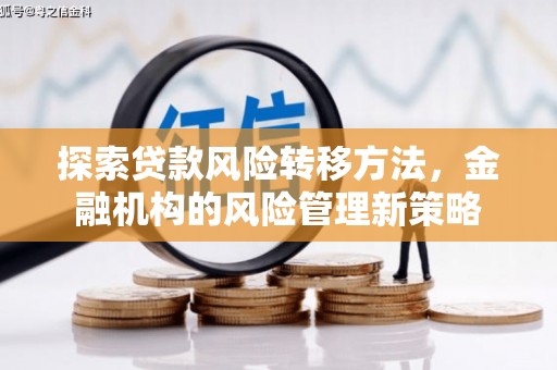 阜康探索贷款风险转移方法，金融机构的风险管理新策略