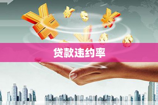 阜康贷款违约率