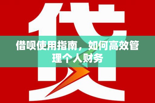 阜康借呗使用指南，如何高效管理个人财务
