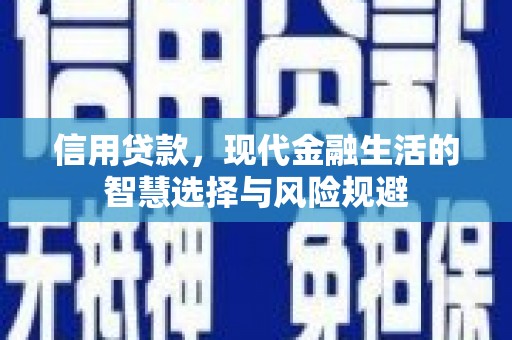 阜康信用贷款，现代金融生活的智慧选择与风险规避