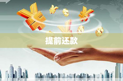 阜康提前还款