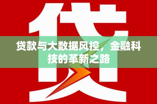 阜康贷款与大数据风控，金融科技的革新之路