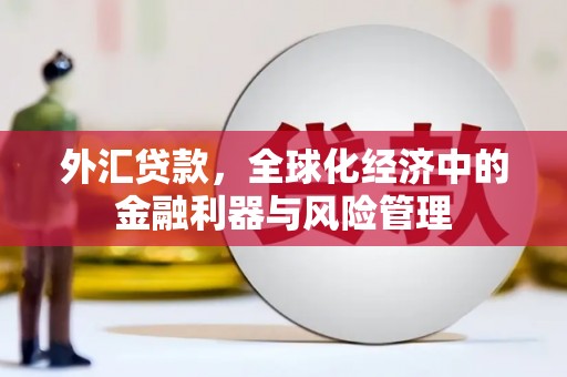 阜康外汇贷款，全球化经济中的金融利器与风险管理