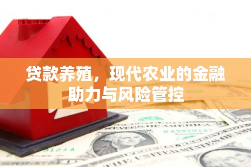 阜康贷款养殖，现代农业的金融助力与风险管控