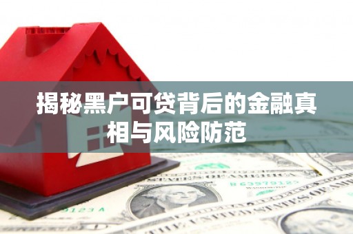 阜康揭秘黑户可贷背后的金融真相与风险防范
